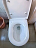 九牧（JOMOO）轻享版全家桶智能马桶家用马桶座便器节水轻音冲智能马桶盖带水箱 全水路除菌+NFC+魔力泡ZS760J-S1 305坑距(290-390以内选择) 实拍图