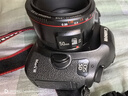 永诺YN50mm F1.8小痰盂镜头自动标准定焦适用于索尼口ZV-E10尼康口富士口佳能口单反微单人像镜头 【佳能EF口】二代 50mm F1.8 实拍图