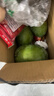 京鲜生 攀枝花凯特芒果 净重9斤 单果500g+ 生鲜水果 源头直发 实拍图