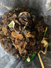 东北黑木耳干货特级秋木耳小云耳野生商用特产脆毛一级小碗耳 黑木耳500g*1袋 实拍图