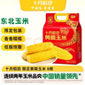 十月稻田 黄糯玉米 3.52斤(220g*8根) 东北粘苞米 早餐零食 蛇年限定 实拍图