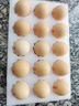 京鲜生【每日鲜蛋】无抗谷物鲜鸡蛋15枚/盒 1.5斤 源头直发 实拍图