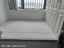 喜临门椰棕偏硬脊椎榻榻米床垫 学生老人宿舍床垫厚度可选 伊菲 新款-面料升级【厚10cm】椰棕4cm 1.5*2米（注意尺寸） 实拍图