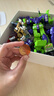 布鲁可积木人 变形金刚星辰版04端盒龙怒天启 潮玩男生玩具生日礼物 实拍图
