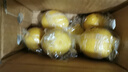 广东香水黄柠檬包邮新鲜水果柠檬精选皮薄奶茶店专用整箱 现货 黄香水柠檬6粒装  单果70g+ 实拍图