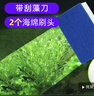 派乐特鱼缸刷清洗清理工具清洁 伸缩鱼缸刷子长把刮藻刀水族用品大号 晒单实拍图
