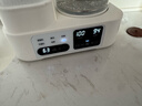 小壮熊 婴儿恒温水壶 奶瓶暖奶消毒器 冲奶机暖奶专用温奶泡奶家用 1.5L 实拍图