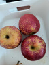 探味君 正宗大凉山丑苹果 当季时令新鲜水果四川冰糖心苹果红富士 生鲜 净重4.5-5斤 单果70mm-75mm 实拍图