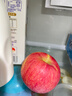 京地达洛川苹果水果陕西红富士节日送礼净重4.5斤单果85mm+源头直发包邮 实拍图