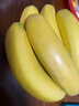 都乐Dole 菲律宾进口香蕉 超甜蕉650g*2包 香甜软糯 包邮 水果 实拍图