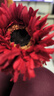 把束拉丝菊 简约现代陶瓷花瓶摆件 插花干花花束会议桌装饰高端 红色/1枝 实拍图
