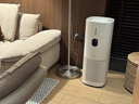 东芝（TOSHIBA）大白梨Pro空气净化器加湿器净化加湿一体机等离子消杀病毒除甲醛过敏源【国家补贴】 大白梨净化加湿杀菌除甲醛一体机 实拍图