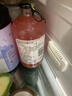 宾得宝（Bundaberg）含气血橙汁饮料375ml*6玻璃瓶装  澳州进口网红发酵果汁气泡水 实拍图
