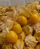 东北姑娘果新鲜当季水果黄菇娘灯笼果酸甜可口甜菇娘特产京东包邮 【带箱3斤】净重2.6斤 实拍图