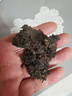 大益TAETEA茶叶普洱茶熟茶7572饼茶盒装200g经典标杆口粮茶中华老字号 实拍图