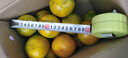 京觅宜昌蜜桔 精选新鲜蜜橘皮薄多汁净重4.5斤60mm+橘子源头直发包邮 实拍图