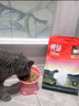 纯刻 P42低温烘焙猫粮高鲜鸡肉无谷低敏成幼猫全价通用主食 4kg【4包装】送试吃100g 实拍图