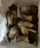 京鲜生云南特产鲜菌菇【新鲜姬松茸】 净重1斤 煲汤火锅食材 源头直发 实拍图
