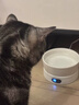 憨憨乐园猫咪加热宠物陶瓷碗恒温饮水碗狗狗食盆冬季保温猫狗用品700ml 实拍图