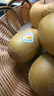 佳沛（zespri）新西兰 阳光金奇异果12粒礼盒特大果单果约122-146g 猕猴桃 水果 实拍图