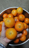 京鲜生 广西砂糖橘 净重4.5斤 单果35-45mm  生鲜水果 源头直发包邮 实拍图
