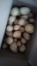京喜加新鲜黄心土豆农家自种黄皮马铃薯黄心洋芋新鲜蔬菜 8斤 实拍图