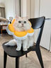华元宠具（hoopet）猫咪伊丽莎白圈幼猫项圈宠物狗狗圈颈圈脖圈头套犬耻辱圈防舔头罩 实拍图