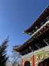强生润眸双周抛6片装安视优隐形眼镜近视进口保湿两周抛125度 实拍图