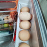 1号会员店（One's Member）可生食标准鲜鸡蛋36枚 礼盒装  单枚55g 源头直发 实拍图