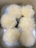 农鲜淘 古田新鲜银耳 福建特产 鲜银耳 精选雪耳 新鲜菌菇 精选6朵/箱装 实拍图
