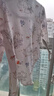 贝瑞加（Babyprints）婴儿连体衣宝宝长袖包屁衣新生儿爬服纯棉三角哈衣四季内衣 兔80 实拍图