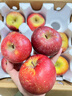 山姆大叔 丑苹果昭通苹果冰糖级【多地次日达】苹果水果礼盒圣诞节礼物 【金标·稀缺果王】单果80-90mm｜甜度翻倍 团购专拍【详询客服】 实拍图