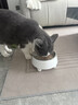 HELLOJOY不锈钢宠物食盆狗碗猫狗碗食盆水粮两用宠物碗喂食器 白色 实拍图