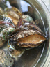 金唐鲜冻大鲍鱼净重500g/ 10头鲍 带壳鲍鱼肉 贝类海鲜生鲜火锅烧食材 实拍图
