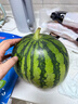 京鲜生 无籽麒麟大西瓜 1粒装 7-9斤 生鲜水果 实拍图