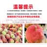 龙多鲜JD/顺丰梨香梨山西红香酥梨皮薄多汁香甜无渣小香梨当季孕妇水果 整箱5斤 精选单果80g++ 净4.5斤 实拍图