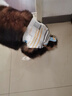HONEYCARE好命家 狗狗纸尿裤大型母狗生理裤月经裤 L适用体重7-10kg/6片装 实拍图
