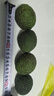 牛油果进口尝鲜多个装宝宝辅食装新鲜包邮 单果重70g+ 190g+ 4个装 单果重70-100g 实拍图