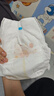 泰迪熊（Teddy Bear）【尿裤免费送】自在无痕拉拉裤XL26片(12-17公斤 )尿不湿裸感超薄 实拍图
