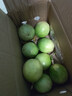 黄金百香果钦蜜9号新鲜当季现摘精选好果水果百香果鲜果酸甜可口 钦蜜9号黄金百香果 >60g大果 1斤 实拍图