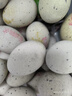 鄱湖鸭舍 无铅松花蛋皮蛋溏心松花皮蛋无铅工艺变蛋厂家麻鸭蛋批发 60-70克/枚【30枚-超值】 实拍图