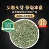 贡苑头采信阳毛尖特级250g 2025新茶明前绿茶高档茶叶礼盒装送长辈 实拍图