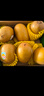 佳沛（zespri）新西兰  阳光金奇异果10粒礼盒巨大果单果约144-175g 水果 猕猴桃 实拍图