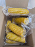 京鲜生 东北黄玉米净重3.6斤 8根*220g+ 真空包装加热即食 源头直发 实拍图