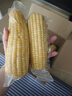 京鲜生 东北黄玉米净重3.6斤 8根*220g+ 真空包装加热即食 源头直发 实拍图