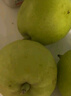 京鲜生 新疆特级库尔勒香梨 净重5斤单果120g以上 生鲜水果 实拍图