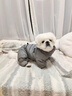 POPOCOLA小狗狗衣服羽绒秋冬季泰迪比熊雪纳瑞小型犬宠物保暖棉服冬装 灰色四脚面包服 L【建议9-11斤】 实拍图
