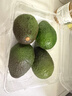 京鲜生 智利进口牛油果 大果4粒装 单果130g+（非即食） 生鲜水果 实拍图