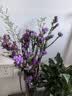 3.18节勿忘我鲜切花真花客厅餐桌插花摆件送人礼物 勿忘我1束（2-5个颜色）约200g新手福利 实拍图