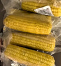 京鲜生甘肃水果玉米220g*8棒真空甜玉米棒低脂代餐免煮开袋即食源头直发 实拍图
